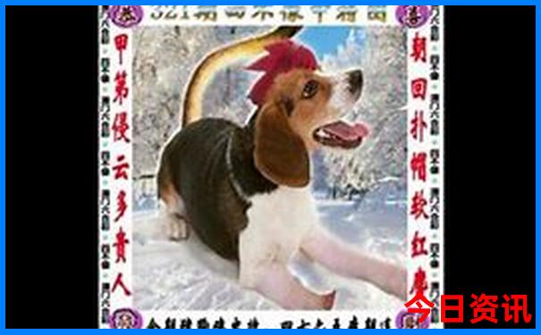 哈尔滨哪里最好玩
